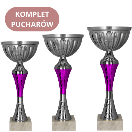Zestaw Pucharów 9273 Trofea Okolicznościowe