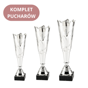 Zestaw Pucharów ET.430 Grawerowane Trofea