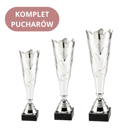 Zestaw Pucharów ET.430 Grawerowane Trofea
