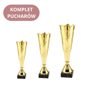Zestaw Pucharów ET.429 Trofea Sportowe