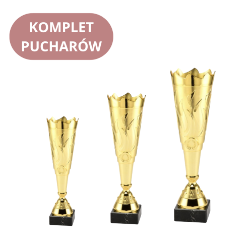 Zestaw Pucharów ET.429 Trofea Sportowe