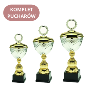 Zestaw Pucharów L1710B Trofea Sportowe