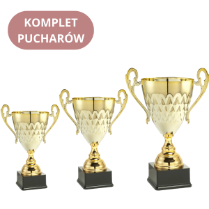 Zestaw Pucharów LT.039B Nagrody Dla Firm