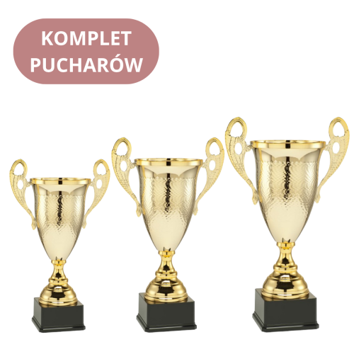 Zestaw Pucharów LT.052 Nagrody Biznesowe