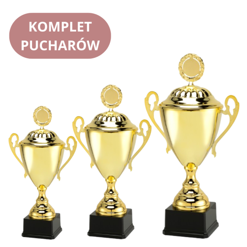 Zestaw Pucharów LT.089 Trofea Dla Ciebie