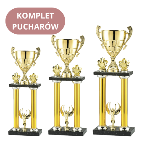 Zestaw Pucharów LT.067D Ekskluzywne Puchary
