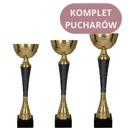 Zestaw Pucharów 9216 Puchary na Zamówienie