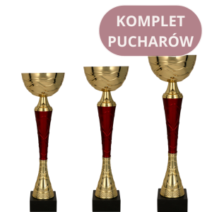 Zestaw Pucharów 9217 Puchary Personalizowane