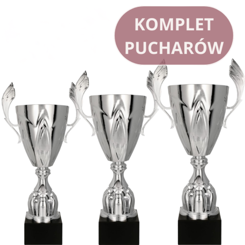 Zestaw Pucharów 4127 Trofea Sportowe