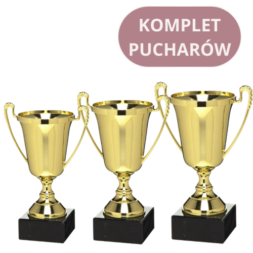 Zestaw Pucharów X781-X783 Nagrody Sportowe