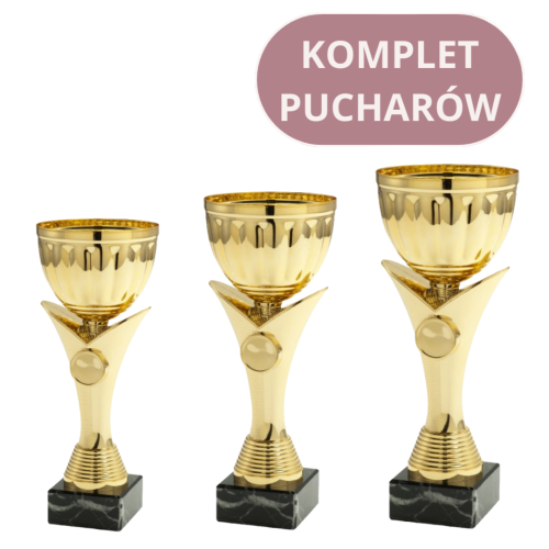 Komplet Pucharów ET.349 Trofea Sportowe