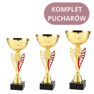 Zestaw Pucharów ET.433 Trofea Na Zamówienie