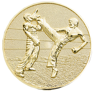 Płyta do Pasa Kickboxing BB002 Nagrody dla Sportowców