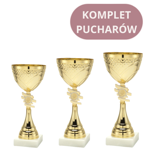 Zestaw Pucharów ET.320 Puchary Sportowe