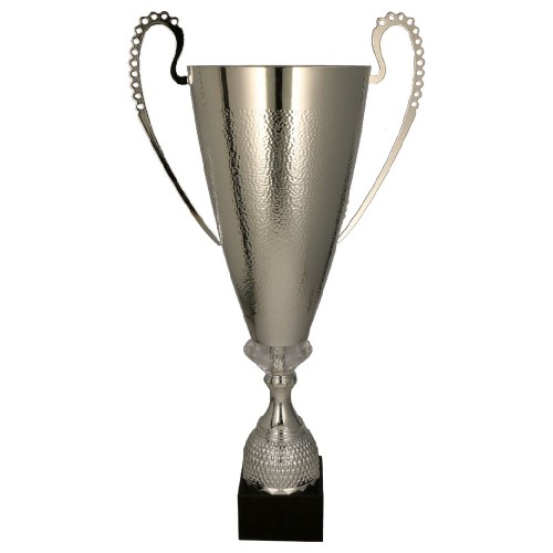 Puchar Srebrny 1077 Trofea Sportowe