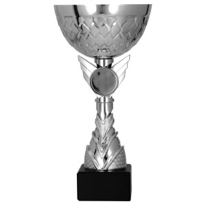 Srebrny Puchar Sportowy 9305 Tanie Trofea