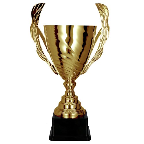 Puchar Złoty 2100 Trofea Sportowe