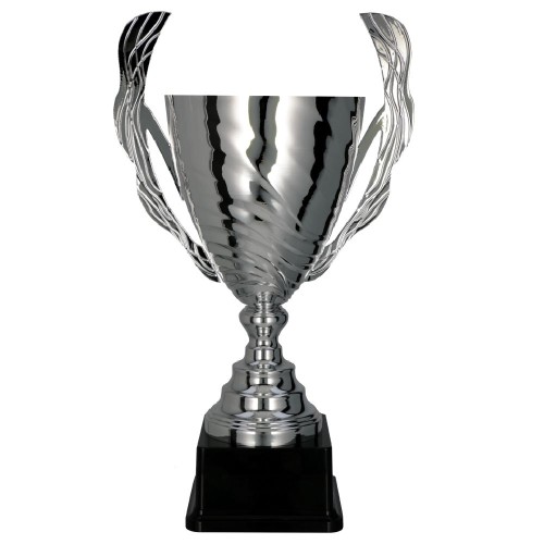 Puchar Srebrny 2101 Nagrody Sportowe z Grawerem