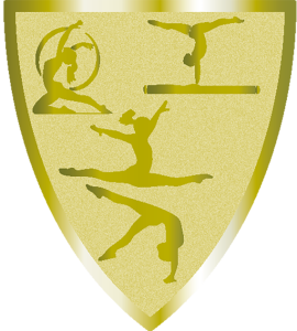 Emblemat Foliowy GIMNASTYKA AFS031