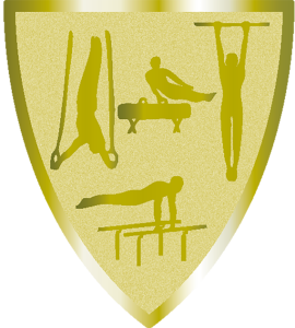 Emblemat Foliowy KALISTENIKA AFS030