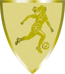 Emblemat Foliowy PIŁKARKA AFS005