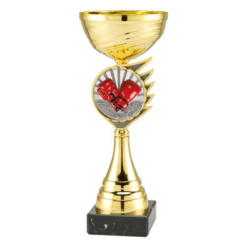 Puchar Bokserski ET.407C-FG078 Trofea Sportowe