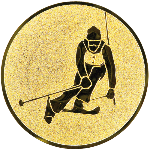 Emblemat Narciarstwo AF95