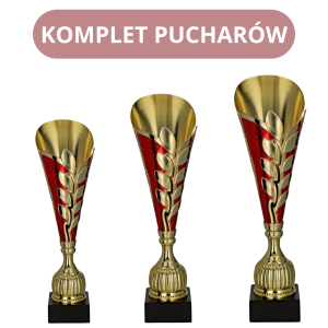 Komplet Pucharów 7263 Fajne Puchary