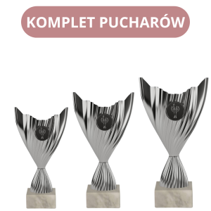 Komplet Pucharów 8386 Tanie Nagrody