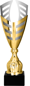Złoty Puchar Calado NT1037 Puchary Trofea