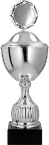 Srebrny Puchar Silver Sun 4236 Tanie Trofea