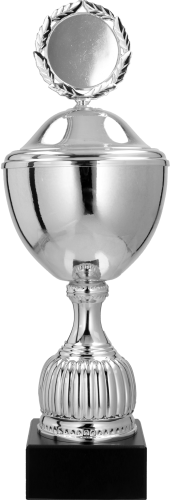 Srebrny Puchar Silver Sun 4236 Tanie Trofea
