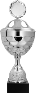 Personalizowany Puchar Plata 4238 Pomysły na Tanie Nagrody