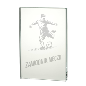 Trofeum Szklane z Etui W161-W163 Statuetki Szklane Warszawa