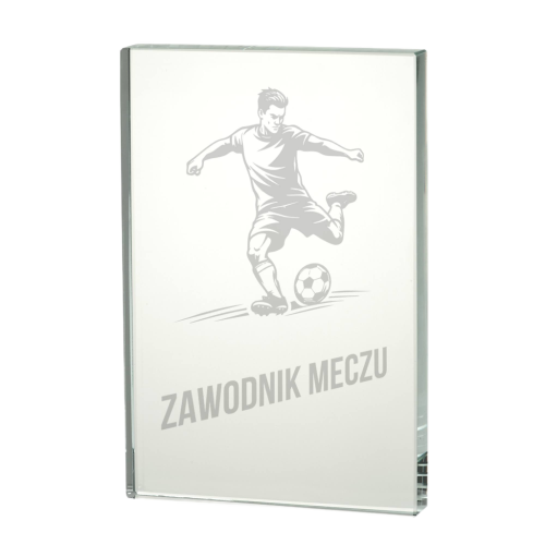 Trofeum Szklane z Etui W161-W163 Statuetki Szklane Warszawa