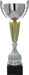 Srebrno-Złoty Puchar Bale NT1048 Puchary Trofea