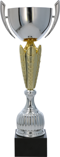 Srebrno-Złoty Puchar Bale NT1048 Puchary Trofea