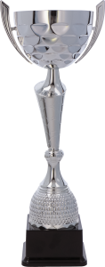 Srebrny Puchar NT1053 Puchary Metalowe