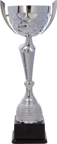 Srebrny Puchar NT1053 Puchary Metalowe