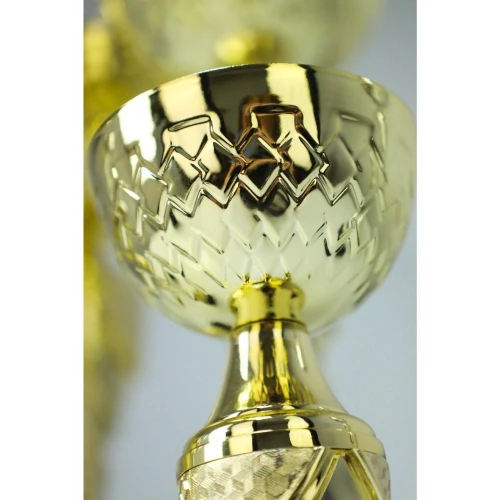 puchar-metalowy-zloty (2).jpg