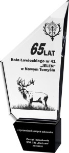 Trofeum Szklane z Etui C038 Statuetki Biznesowe