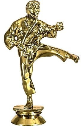Figurka Plastikowa Sporty Walki F10/G