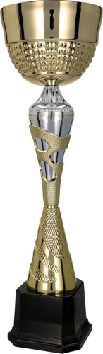 Złoto - Srebrny  Puchar Cyrus 3113-N - Trofeum Stalowe Sportowe