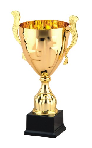 Złoty Puchar GOLD GIFT S-9064 Metalowy Puchar