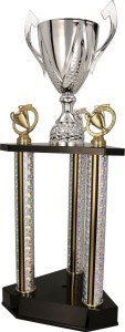 Puchar Mistrzowski Srebrny Damaris 3132 - Eleganckie Prestiżowe Trofeum 