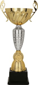 Puchar Turniejowy Stalowy Dru 3141 - Trofeum Sportowe Okazjonalne 