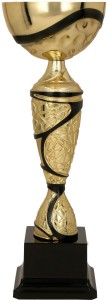 Puchar Mistrzowski NODI BK 7196 - Trofeum Sportowe Stalowe