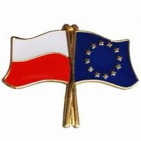Pinsy wypukłe