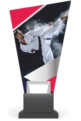 Szklana nagroda - Karate - CG02/KAR