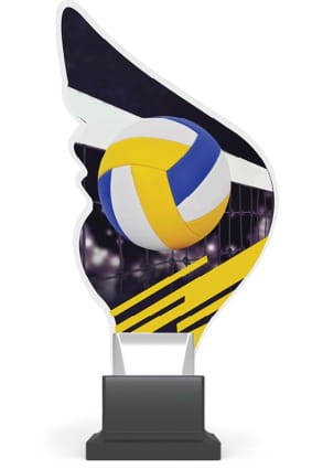 Statuetka Plexi - Siatkówka   - CP01/VOL